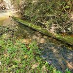 Compass Land Group - photo 4