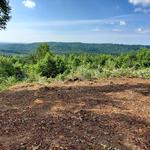 Compass Land Group - photo 5