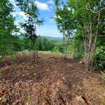 Compass Land Group - photo 6