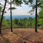 Compass Land Group - photo 8