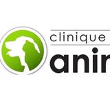Clinique Vétérinaire Animalia - Veterinarians/Vets in Mont-Saint-Hilaire