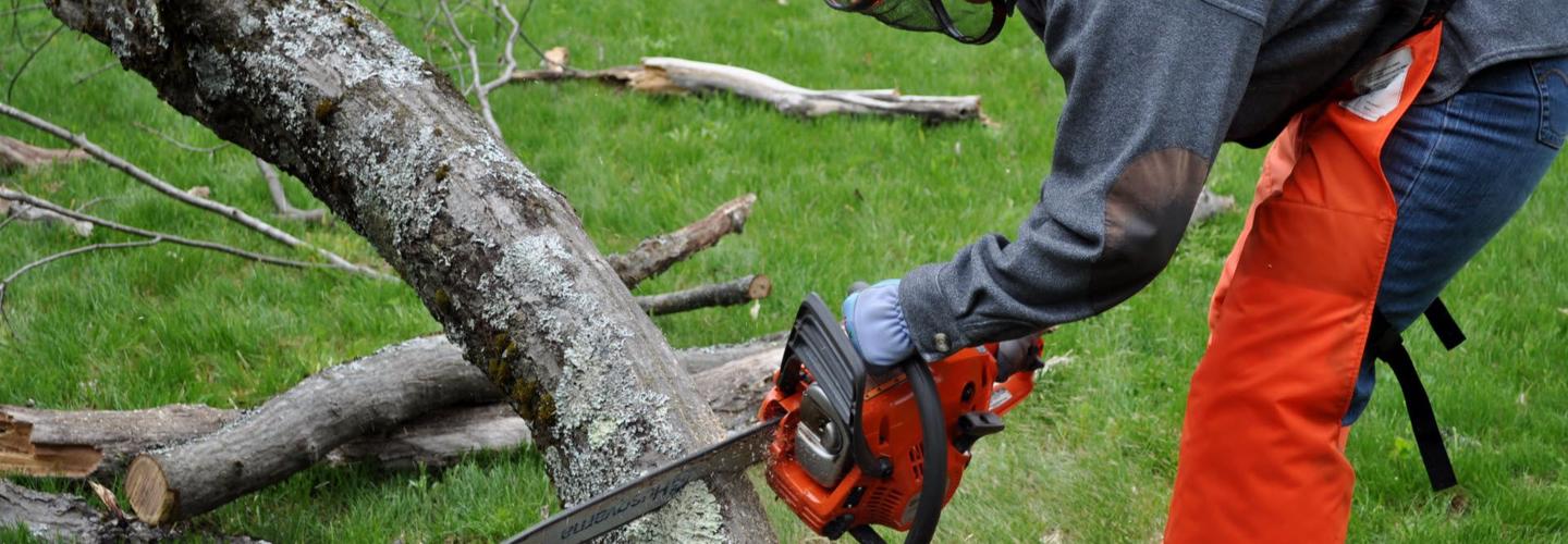 Reliable Tree Removal & Stump Removal cover photo
