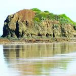 BP Surf Hotel - photo 1