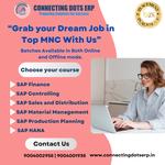 Connecting Dots ERP - photo 4