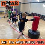 Roar Martial Arts - photo 2