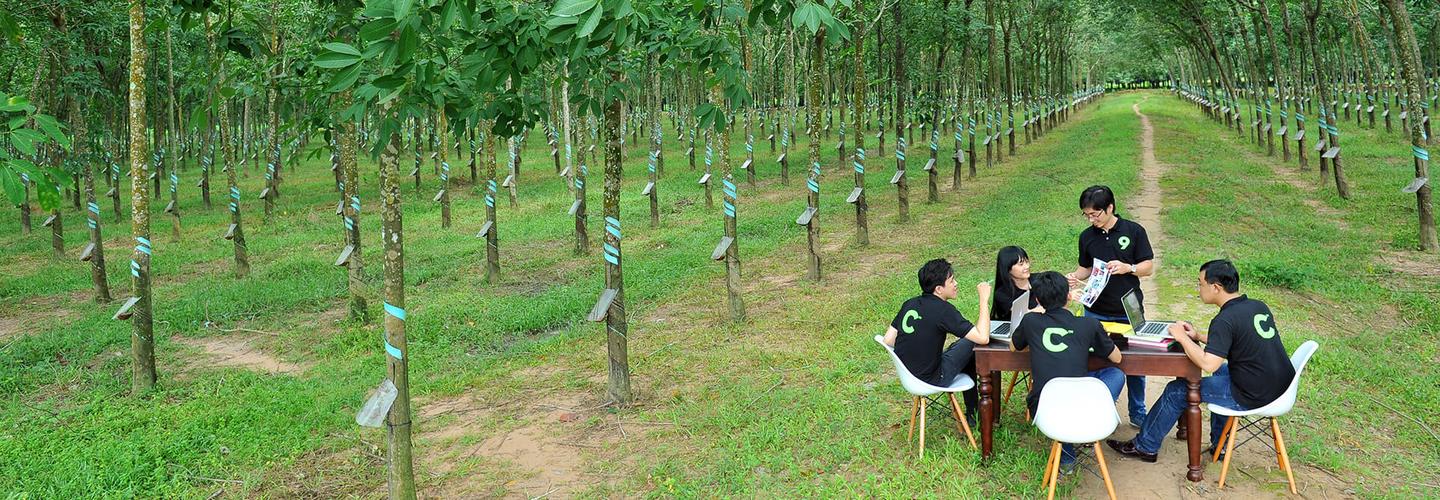 CanhCam Web Design Agency cover photo