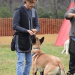 K9 Evolutions Dog Training - photo 2