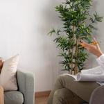 Auspino Disability Support - photo 5