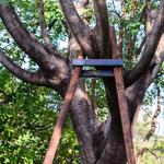 Empire Tree LLC - photo 8