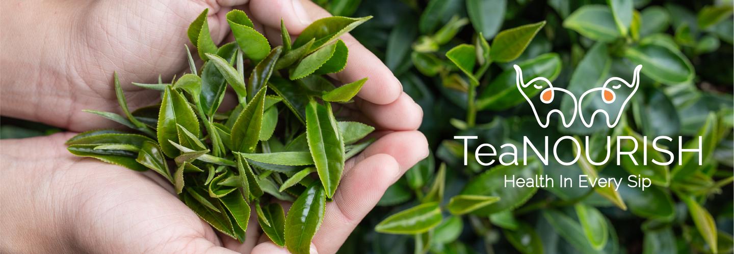 TeaNOURISH cover photo