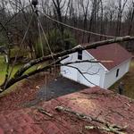 Kemp Tree Services - photo 1