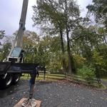 Kemp Tree Services - photo 2