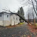 Kemp Tree Services - photo 3