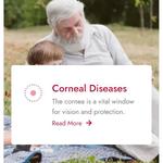 Nexus Eye Care - Blacktown - photo 2