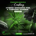 TheGlassGirl420 - photo 1