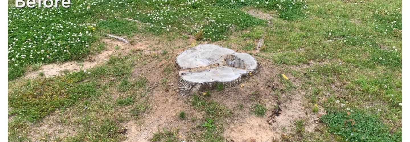 Boone's Stump Grinding cover photo