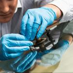 Fix-A-Crack Windshield Repair & Replacement, LLC - photo 1