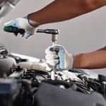 Westcoast Autobahn - photo 1