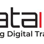 DataInfa | DFactory - photo 1