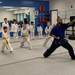 USA Karate Academy - photo 1