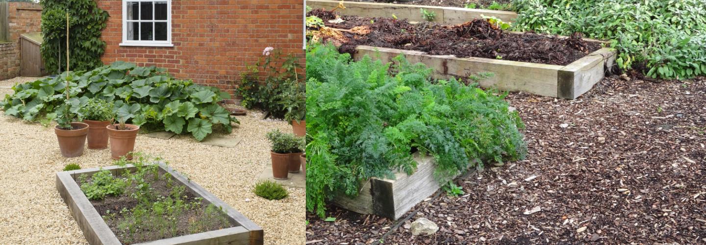 Austrina Steels cover photo