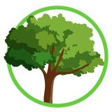 Saps Tree Service - Tree Services in Georgetown