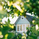 Saps Tree Service - photo 1