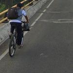 Saps Tree Service - photo 3