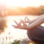 Erin Beaman - Coaching & Wellness - photo 4