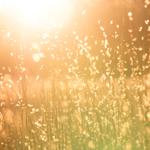 Erin Beaman - Coaching & Wellness - photo 5