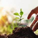 Erin Beaman - Coaching & Wellness - photo 6