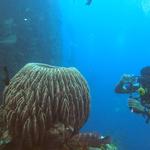 INBLU Scuba Diving Centre - photo 1