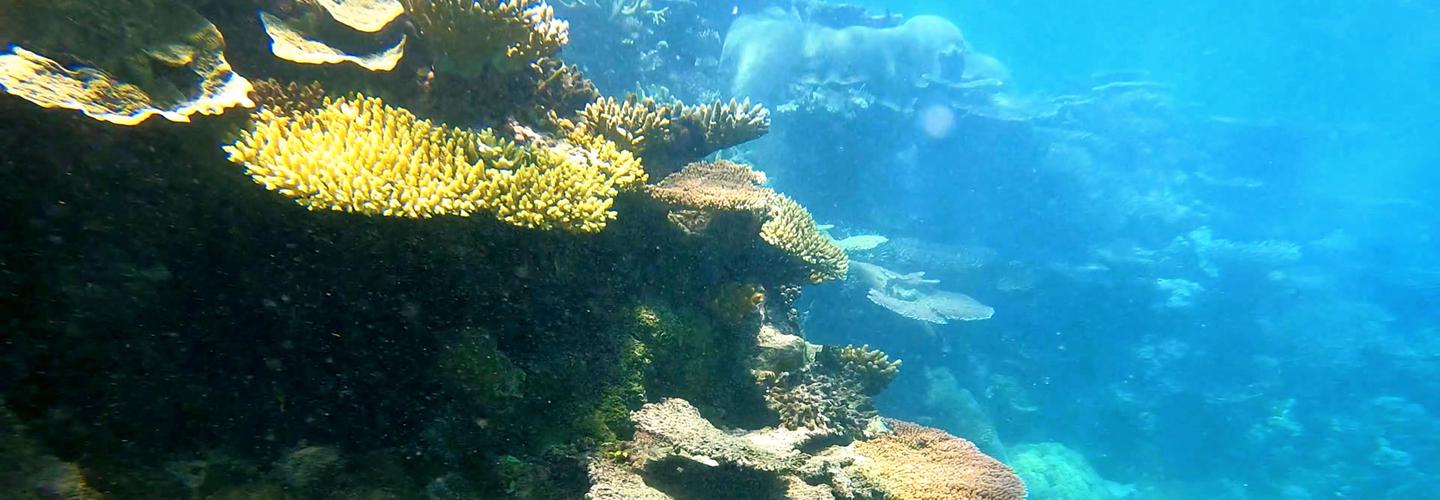 INBLU Scuba Diving Centre cover photo