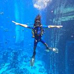 INBLU Scuba Diving Centre - photo 2