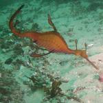 INBLU Scuba Diving Centre - photo 4