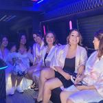 Ashwa Limousine - photo 4