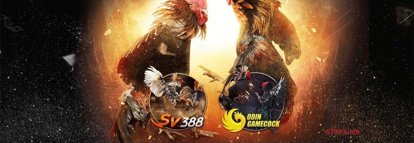 67999 - Ga67999 Đăng ký nhận thưởng free 67k cover photo