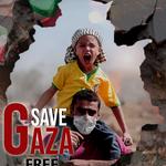 Brand Hazir - photo 8