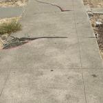 Primetime Concrete - photo 5
