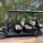 Boss Golf Cart Rentals 30A - photo 1
