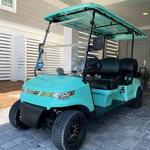 Boss Golf Cart Rentals 30A - photo 3