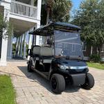 Boss Golf Cart Rentals 30A - photo 4
