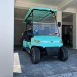 Boss Golf Cart Rentals 30A - photo 5