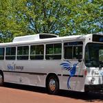 Sydney Wide Party Buses - photo 4