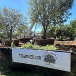 Environmental Design, Inc. - Nationwide Large Tree Moving Service - photo 6