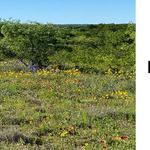 Flat Rock Land Services, LLC - photo 1