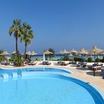 The Pool Leak Pros - photo 1