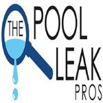 The Pool Leak Pros - photo 2