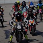 Roman Darby Professional MotoGP Motorcycle Racer - photo 1