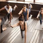 The Union, Fitness & Fun, Park Oaks - photo 10